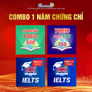 Combo 1 năm chứng chỉ